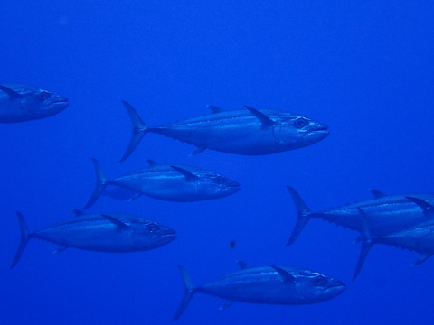 P9230559