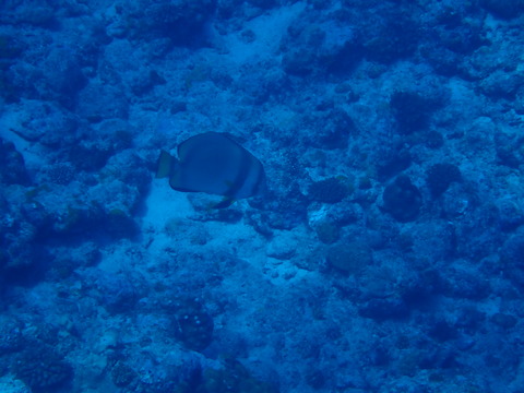 P9210336