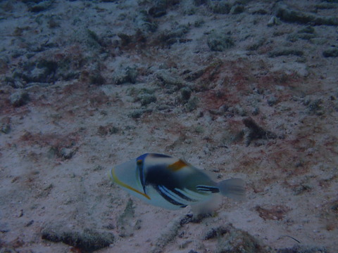 P4120049