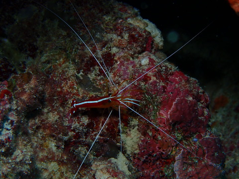 PB120491