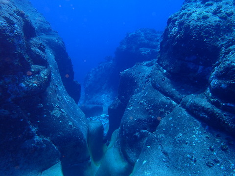 P9230538