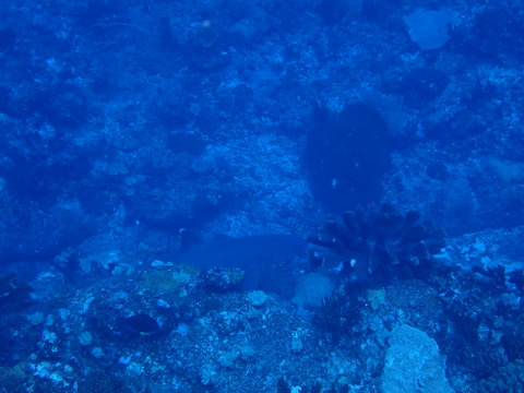P9230547