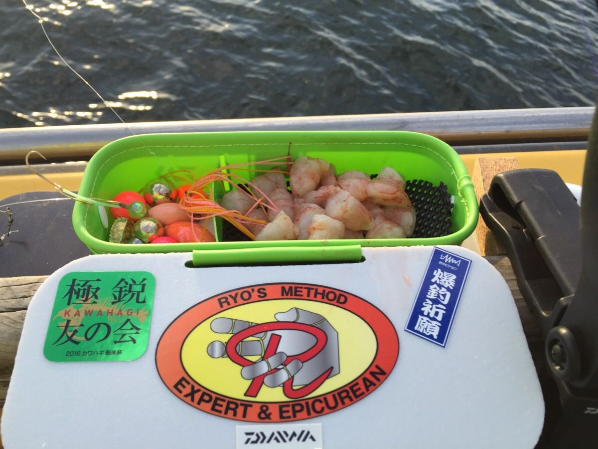 アカメフグ 湾フグ 釣り教室 えさ政釣船店 Process キミに出逢うまで