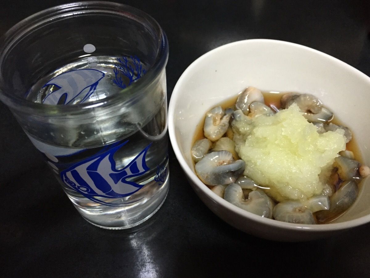 アカメフグ 湾フグ 釣り教室 えさ政釣船店 Process キミに出逢うまで アカメフグ 湾フグ 釣り教室 えさ政釣船店 Process キミに出逢うまで