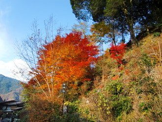 CIMG0984