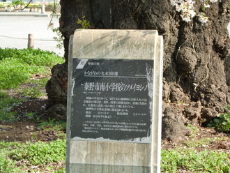 CIMG1548