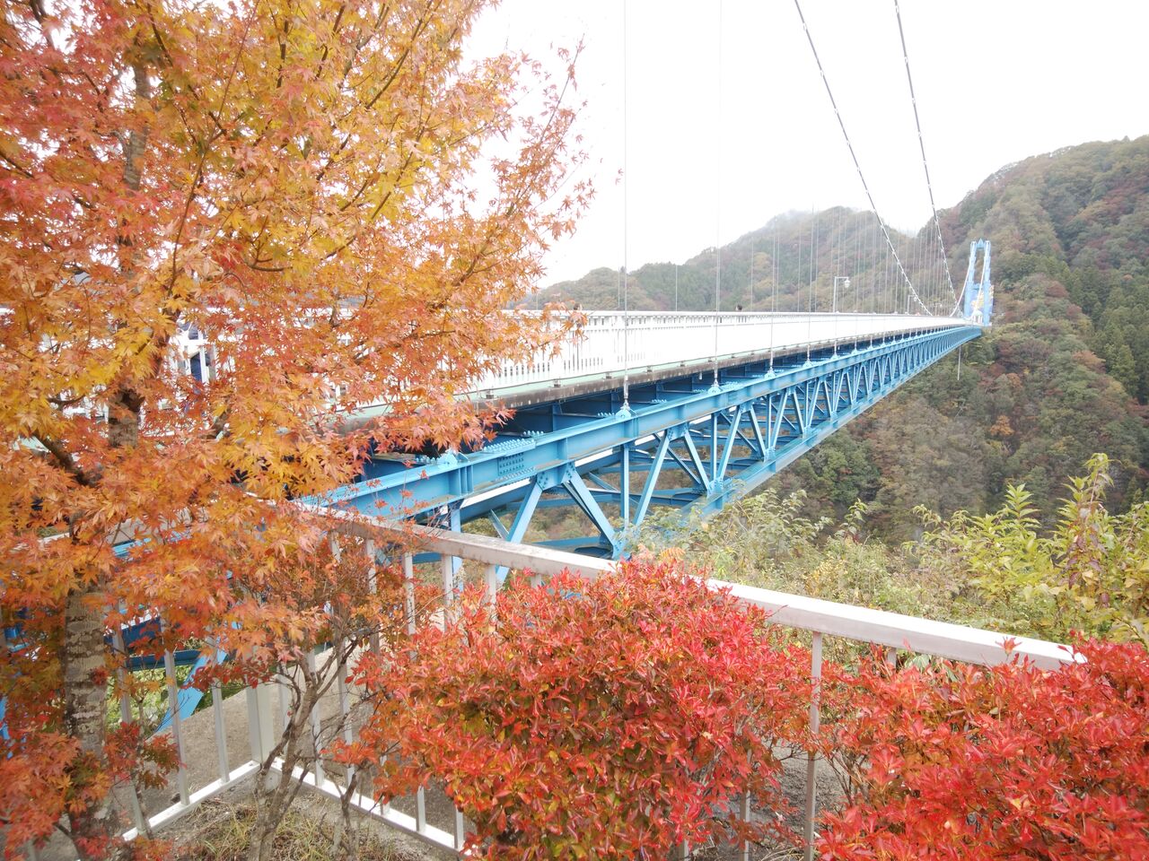 竜神大吊橋の紅葉 団塊オヤジの定年日記