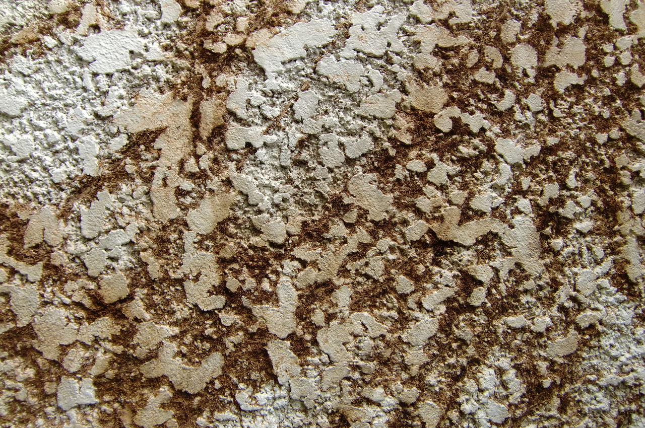 27年ぶりの外壁塗装 団塊オヤジの定年日記