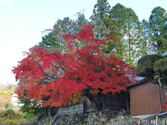 CIMG0975