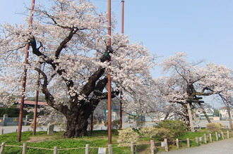 CIMG2749