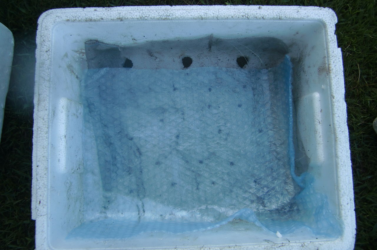 池の水の濾過装置を自作 団塊オヤジの定年日記