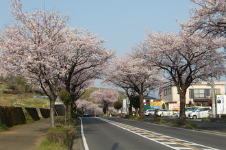 CIMG2744