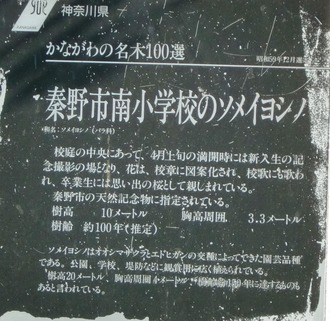 CIMG1548