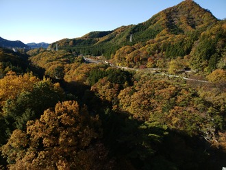 DSC_0894 - コピー