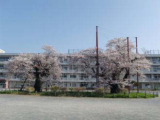 CIMG1546
