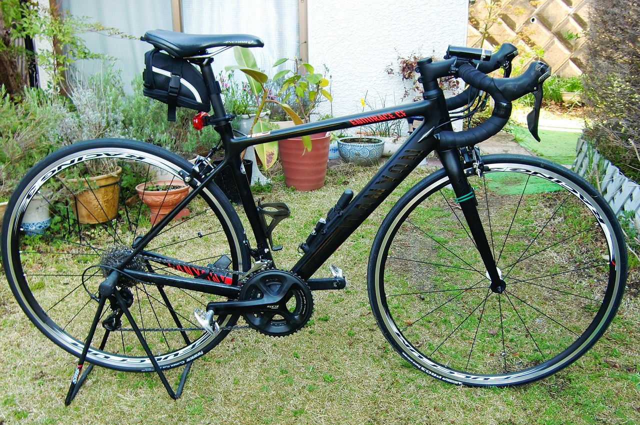 ロードバイクで地球一周！ : 団塊オヤジの定年日記