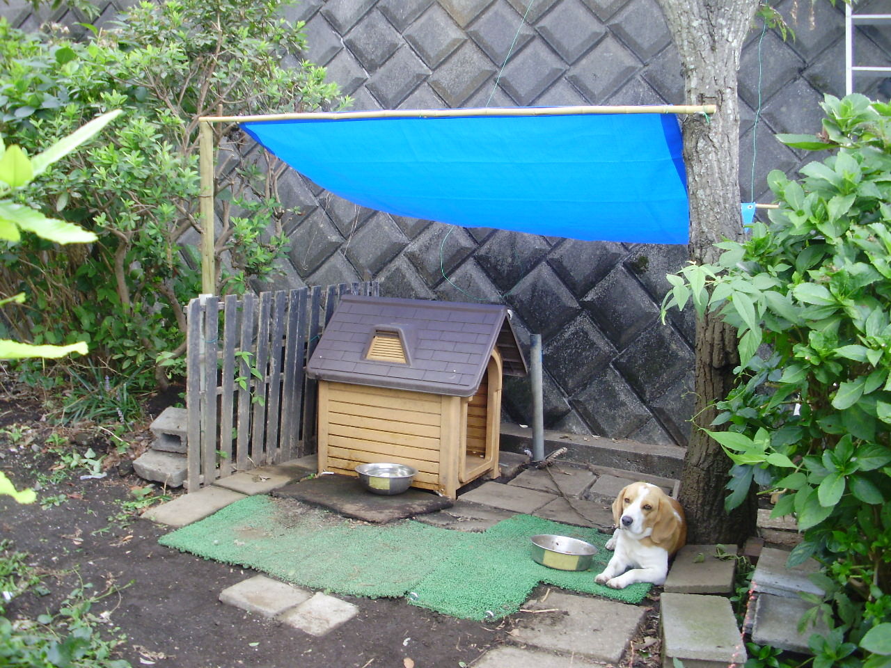 ワンちゃんの屋根作り 団塊オヤジの定年日記
