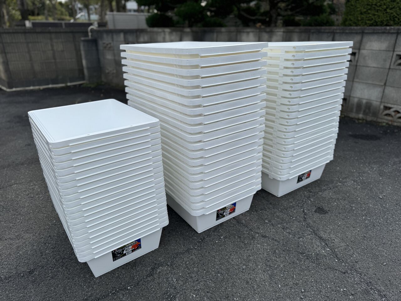白トロ舟 40L 60L 80L メダカ 3000円〜4000円 : セカンドアクア
