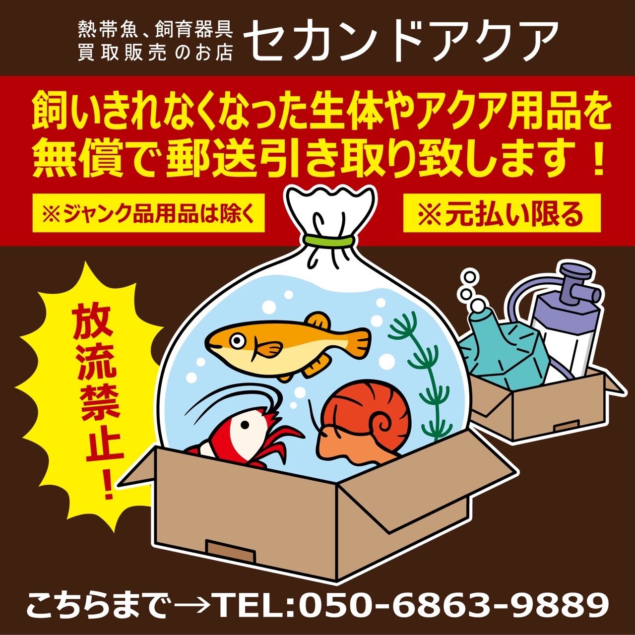 ADA リリィパイプ スピンパイプ P2 4500円 | セカンドアクア