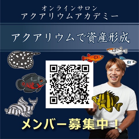 ADA リリィパイプ スピンパイプ P2 4500円 | セカンドアクア