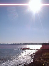 ��������ճ�������