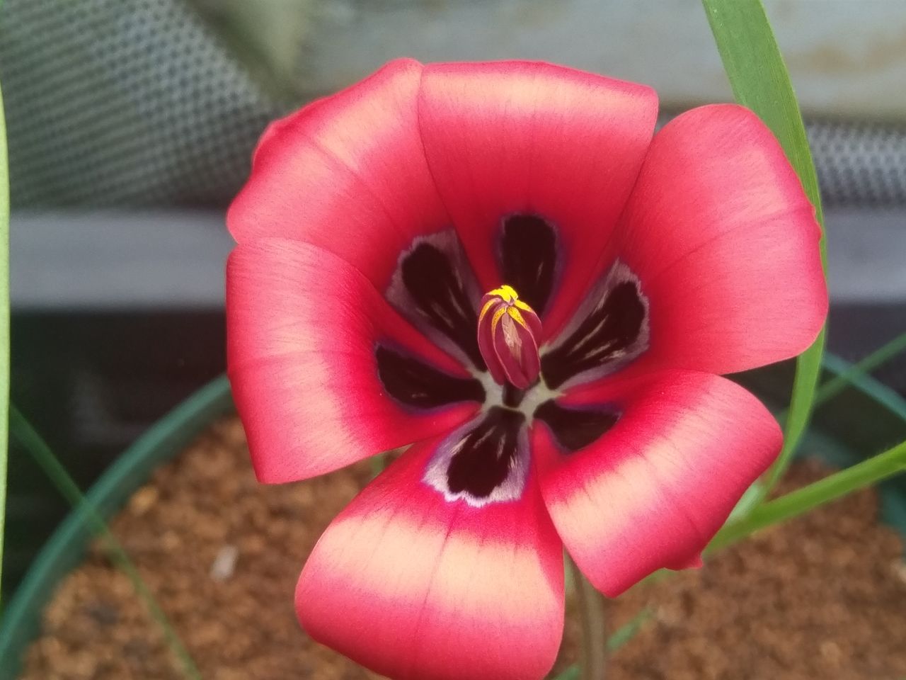 19年03月02日 Secret Garden