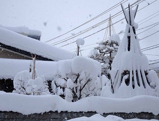 【悲報】大雪の予報だけど電車動いてるから乗っちゃう？