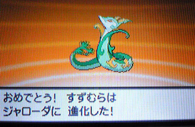 ぱらぱぱぱっぱー 日々のよもやま ぱらぱぱぱっぱー 日々のよもやま