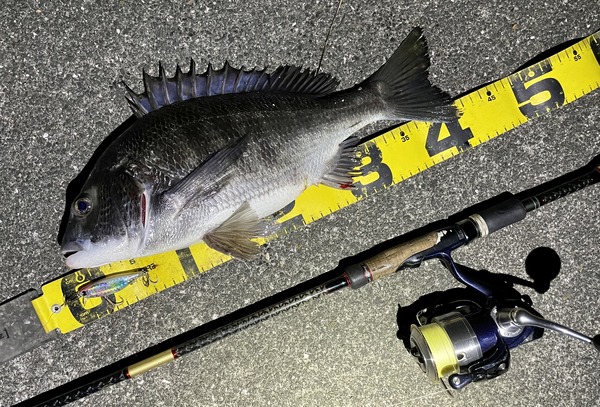 1218EEB4-8E09-4C14-B206-D392DAD34A16