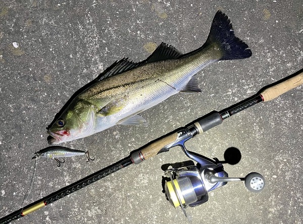 EFEA9590-3CB4-41A2-B375-2066DA423C74