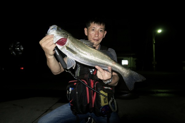 F1B0BAE4-C3D8-4266-BBDB-799CC69B5484