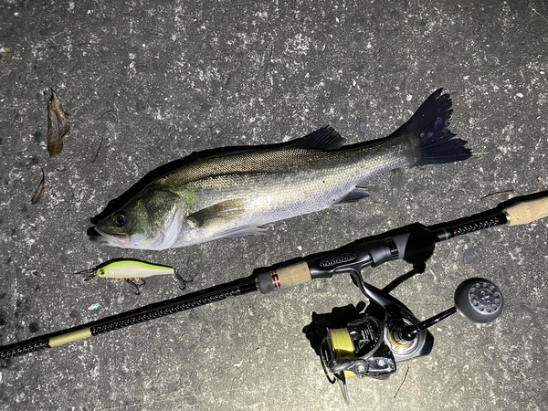 EA45C92B-D2DE-40CF-9746-06A0B8B75C7D