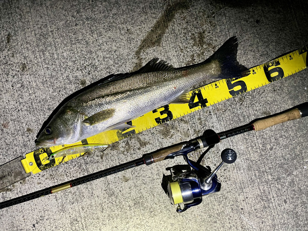 20979ADB-97AE-488E-B5C5-BBEFC94E2C9E