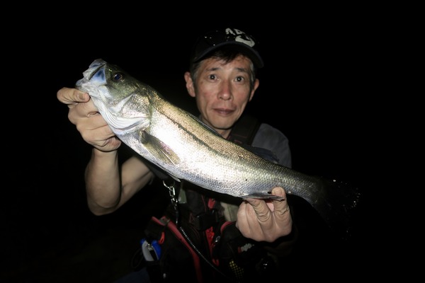 E2365FB8-1FE2-4C79-AB4F-05C0F8F29057