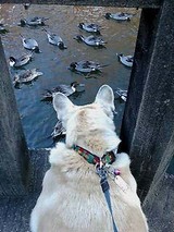 ³û¤¬¤¡¡¦¡¦¡¦¡£¡Ê£²¡Ë