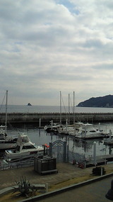 75f0de50.jpg
