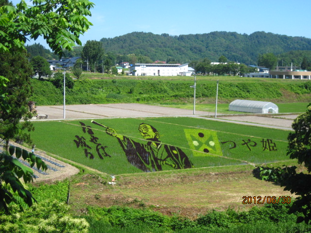 0543d55f.jpg