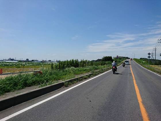 07f74115.jpg
