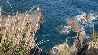 S__4874300