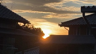 50B3007E-313C-4166-9120-4270AB03D666