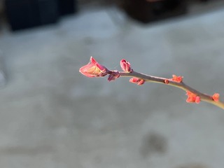 image6