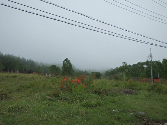 16f14540.jpg