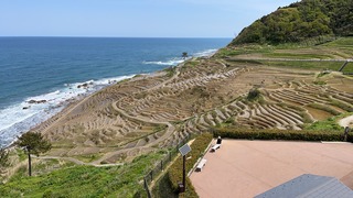 AD381EC8-8AA6-40AB-9499-51DA545CA6A5