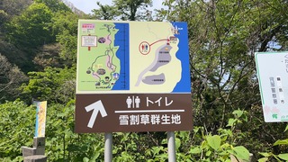 18059658393174