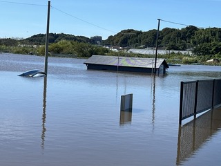 image5