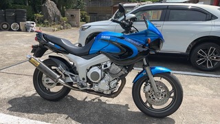S__7307271
