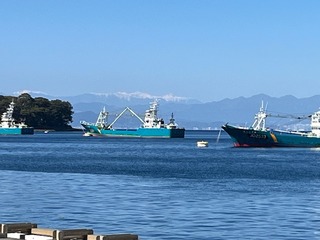 image11