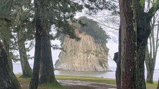 S__4890651