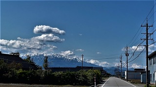 S__4947987 (2)
