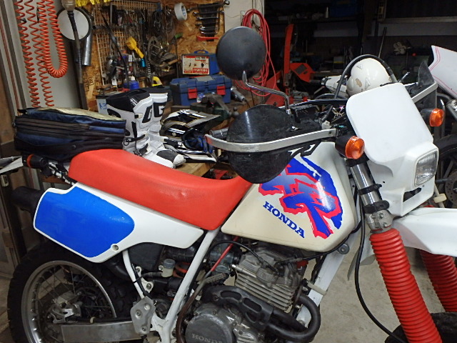 40c67499.jpg